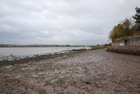 [The River Exe from the Goat Walk, Topsham]