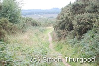 [One of the paths on the common]
