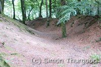 [One of the ditches that suround the castle]