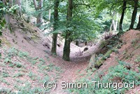 [One of the ditches that surrons the ditches]