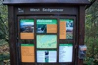 [West Sedgemoor reserve, Somerset Levels]